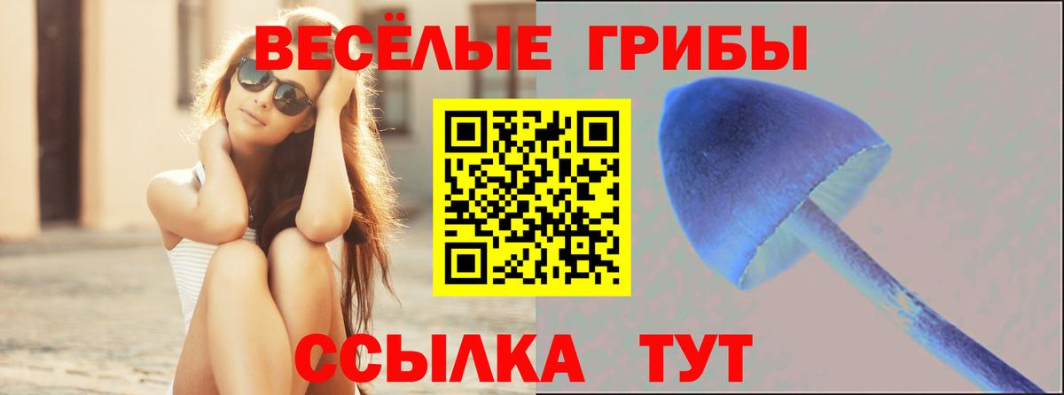 Псилоцибиновые грибы ЛСД  Вход с VPN  Рассказово 
